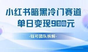 小红书冷门情感服务赛道玩法 低门槛操作单日可获多单收益-雨叶虚拟资源网