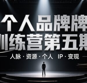 个人品牌训练营第五期 含IP打造人脉拓展及变现实操教程-雨叶虚拟资源网
