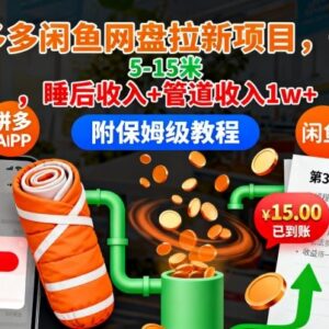 可在拼多多闲鱼操作的网盘拉新教程 单客收益5-15元可获长期被动收入-雨叶虚拟资源网