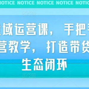 2024TikTok全域运营实战课 手把手教你搭建带货全链路闭环-雨叶虚拟资源网