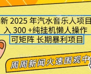 2025年汽水音乐人正规项目实操攻略 支持多号矩阵小白易上手-雨叶虚拟资源网
