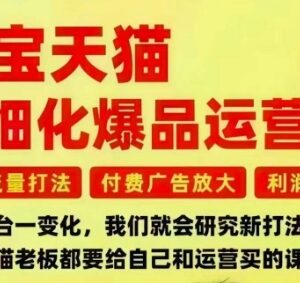 2025淘宝天猫精细化爆品运营课 免费付费流量与利润增长全攻略-雨叶虚拟资源网