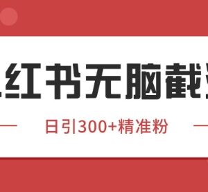 小红书同行截流获客野路子玩法 精准引流实操技巧全解析-雨叶虚拟资源网