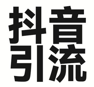 2025年抖音引流实操方法 单视频配文案单日可引300+创业粉-雨叶虚拟资源网