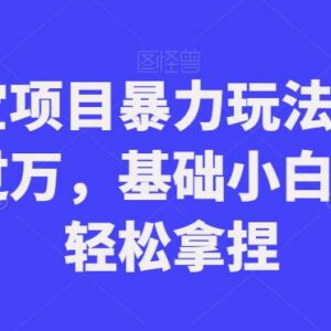 支付宝合规蓝海赚钱项目玩法 新手小白可上手轻松月入四位数-雨叶虚拟资源网