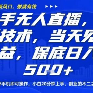 2025快手无人直播最新玩法 单手机可操作新手副业当日见收益-雨叶虚拟资源网