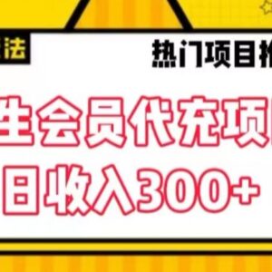 大学生专属会员代充低门槛副业拆解 当日可实现变现300元以上-雨叶虚拟资源网