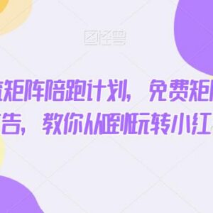 小红书精准引流实操教程 免费矩阵+付费投流玩法从0到1教学-雨叶虚拟资源网