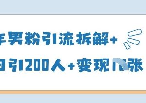2025年男粉引流实操玩法拆解 单日引流200人附变现思路参考-雨叶虚拟资源网