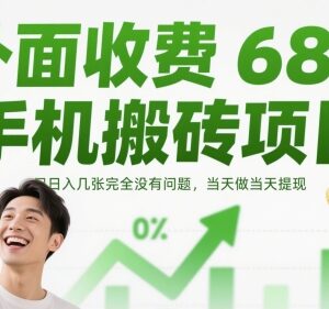 手机搬砖小任务项目详解 新手零门槛操作当日即可提现-雨叶虚拟资源网