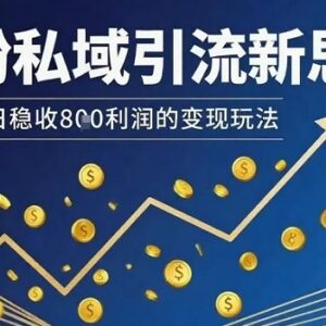 适合新手操作的男粉私域引流思路 低耗时稳定变现单日收益可观-雨叶虚拟资源网