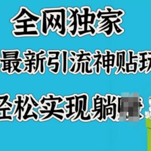 2025B站天涯神贴引流实操玩法 低门槛引流私域变现教程-雨叶虚拟资源网