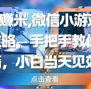 微信小游戏刷广告变现全攻略 零经验小白当日即可获得收益-雨叶虚拟资源网