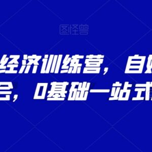 0基础AI创作者经济训练营 自媒体从起号到变现全流程实操课程-雨叶虚拟资源网
