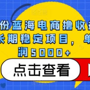 4月蓝海跨境装备差价电商项目解析 长期稳定单月收益5000+-雨叶虚拟资源网