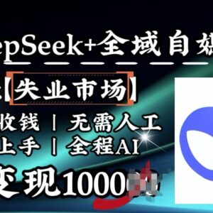 DeepSeek搭配全域自媒体玩法 失业服务赛道AI被动变现实操指南-雨叶虚拟资源网