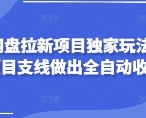 2025网盘拉新独家实操玩法 绑定淘宝项目赚全自动被动收益-雨叶虚拟资源网