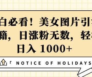 抖音美女图片引流涨粉教程 新手可落地的变现实操方法-雨叶虚拟资源网