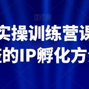 百万IP实操训练营全套课程 全链路IP孵化落地实操方法-雨叶虚拟资源网