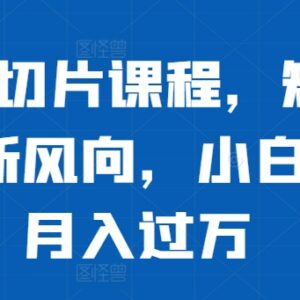 明星IP切片短视频带货全流程教程 零基础小白入门实操指南-雨叶虚拟资源网
