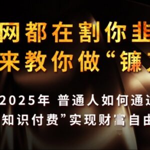 2025年普通人知识付费实操指南 从入门到盈利全攻略-雨叶虚拟资源网