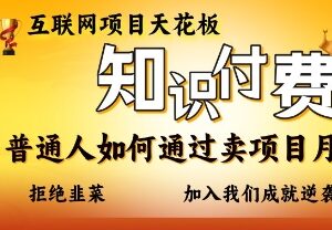 普通人靠知识付费卖项目赚钱方法 实操玩法及避坑指南-雨叶虚拟资源网