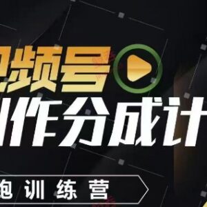 视频号创作分成计划陪跑训练营 零基础学视频制作赚长期收益-雨叶虚拟资源网