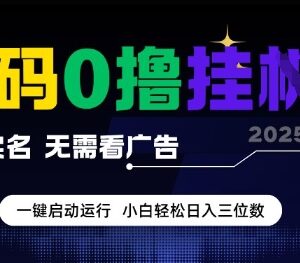 2025年全新0撸全自动挂机项目 无需实名看广告小白易上手收益可观-雨叶虚拟资源网