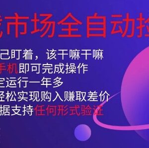 CSGO游戏饰品全自动捡漏玩法 单手机操作新手当天可见收益-雨叶虚拟资源网