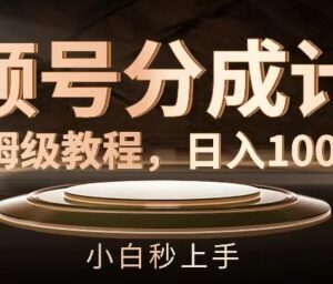 2024视频号分成计划保姆级教程 小白零成本上手实操攻略-雨叶虚拟资源网
