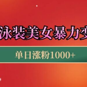 AI生成泳装美女短视频引流玩法 小白快速上手实操变现教程-雨叶虚拟资源网
