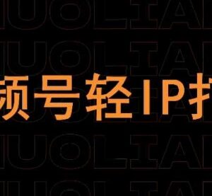 视频号轻IP打造运营教学 多讲师精讲线上课程资源汇总-雨叶虚拟资源网