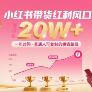 小红书带货项目实操方法 普通人可落地年入20万的运营攻略-雨叶虚拟资源网