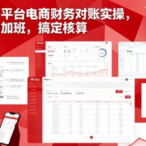 京东平台电商财务对账实操教程 轻松搞定核算告别加班-雨叶虚拟资源网