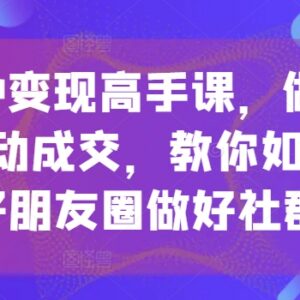 私域IP变现系统课程:打造高转化朋友圈 做好社群实现被动成交-雨叶虚拟资源网