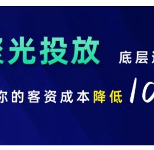 2024小红书聚光投放全流程实操教程 掌握底层逻辑降低客资成本-雨叶虚拟资源网