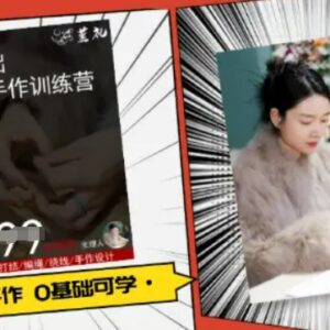 小集电商抖音水晶直播带货课 从起号到运营全流程实操教程-雨叶虚拟资源网