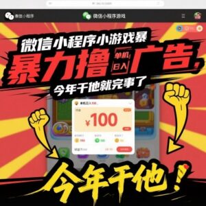 微信小程序小游戏看广告赚收益玩法 单机单日收益可达百元-雨叶虚拟资源网