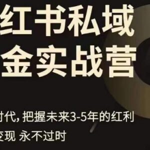 小红书私域运营实战营 公域引流私域转化全流程实操教学-雨叶虚拟资源网