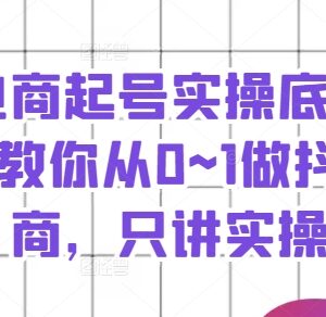抖音电商0到1起号实操底层逻辑课 全流程运营方法干货教学-雨叶虚拟资源网