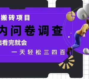0基础可做国内问卷调查副业 靠谱网创搬砖项目实操指南-雨叶虚拟资源网