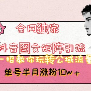 抖音图文矩阵引流实操教程 无需拍视频露脸单号半月涨粉方法-雨叶虚拟资源网