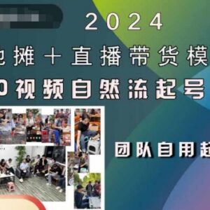 2024地摊+直播带货模式 0粉0视频自然流起号稳号实操全流程-雨叶虚拟资源网