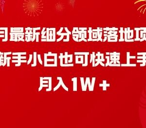 2025年2月失眠细分领域落地项目 新手易上手可月入1万-雨叶虚拟资源网