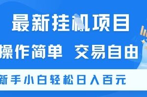 无需实名无广告挂机赚钱项目解析 新手易操作可日入100+-雨叶虚拟资源网