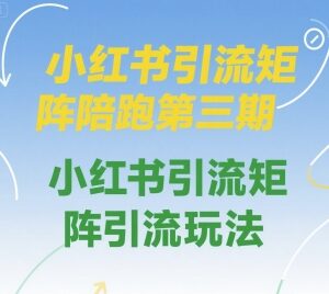 小红书引流矩阵陪跑第三期 全链路引流实操玩法详解教程-雨叶虚拟资源网