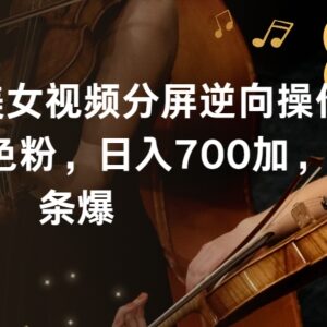 美女视频分屏逆向引流实操玩法 单日引600粉可实现日入700+-雨叶虚拟资源网