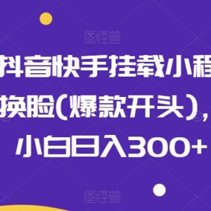 0粉可操作抖音快手挂载超级换脸小程序 新手小白日入300+实操教程-雨叶虚拟资源网