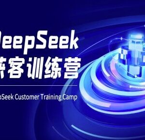 DeepSeek获客训练营AI电商教程 零基础入门到获客实操指南-雨叶虚拟资源网