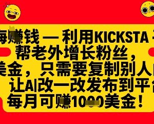 如何利用Kicksta帮海外用户涨粉赚美金 新手月入千刀实操攻略-雨叶虚拟资源网